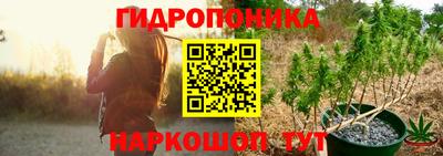 индика Абакан